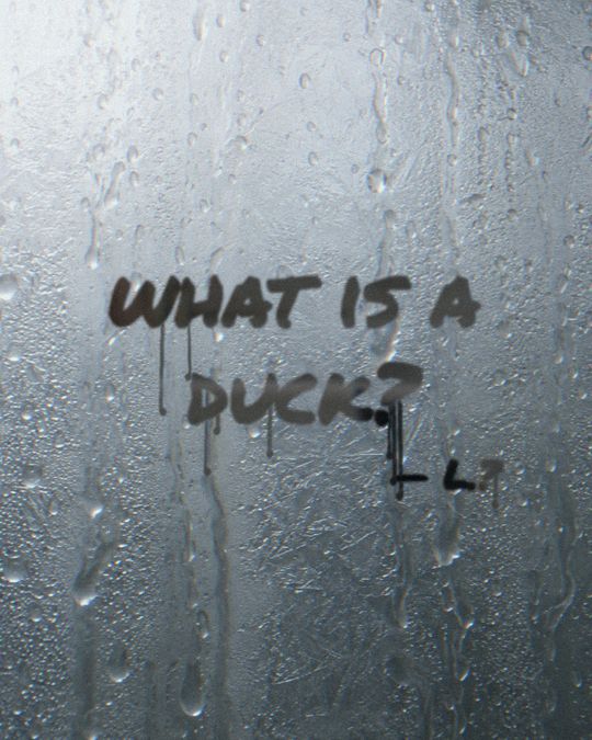 Written on a fogged mirror: what is a duck? L.?