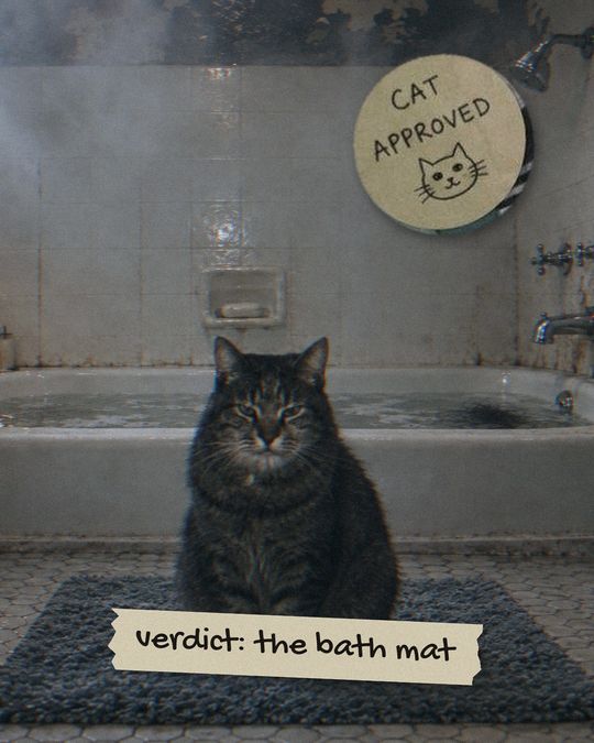 Judith on the bath mat. Verdict: the bath mat. Cat approved.
