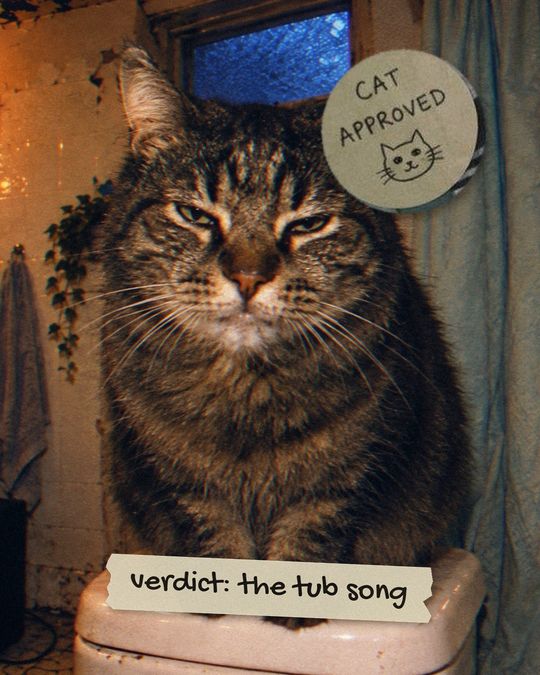 Judith in front of the window. Verdict: the tub song. Cat approved.